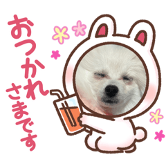chihiro_20210818230303