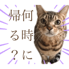 Emily_20210819112713