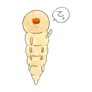 wamuwamu_20210818184329