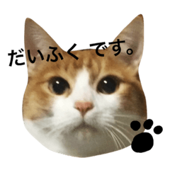 DAIFUKU's STAMP