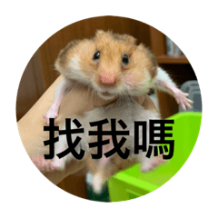 麻糬の日常第二彈