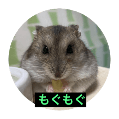 Mimi_20210819021846
