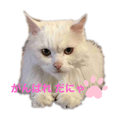 monmon_20210818202333