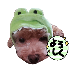Chihiro_20210819065928
