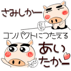Cute pig in Kyu-syu type-compact
