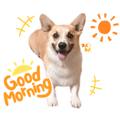 kinaco_20210816231909