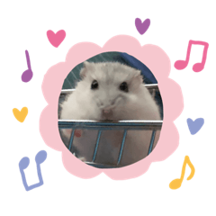 鼠寶貼圖（日常篇）