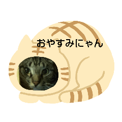 kaori_20210819