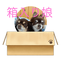 suzu_20210819130123