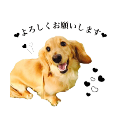 rikumaronn