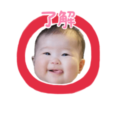 Kottan 1