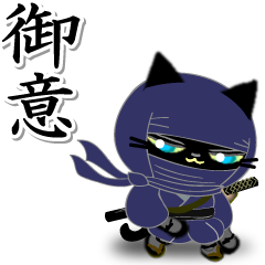 Ninja of the black cat