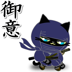 Ninja of the black cat