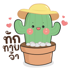 Cactus : Everyday Cute