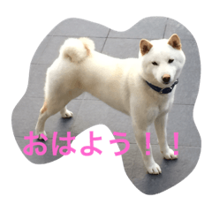 INU NO MUKU2