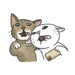 fighting meow meow sticker