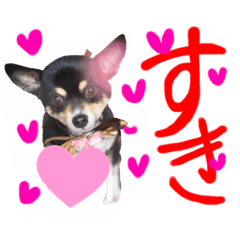 Nanami_20210819193021