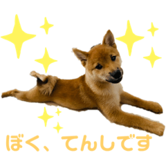 Miki_20210819211607