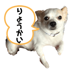 junko_20210819211256