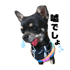 ハピハピらいふだよ