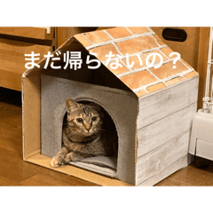 kumachan_20210819174408
