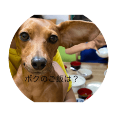mimi_20210819181226