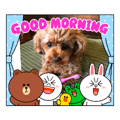 suzu_20210819164426