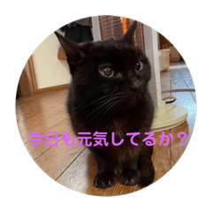 MICHIKO_20210819172520