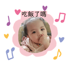 酪梨來了