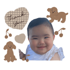 evechin__coton stickers