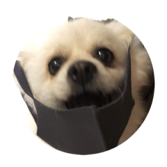 ARISA_20210819202543