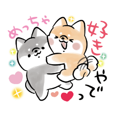 Shiba Inu dog that speaks Kansai dialect