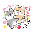 Shiba Inu dog that speaks Kansai dialect