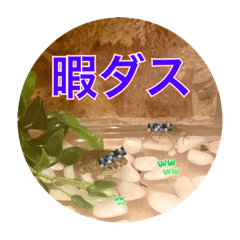 Kero_20210820120711