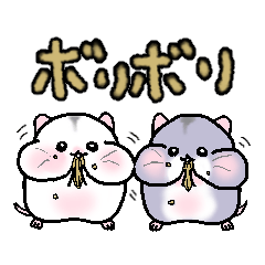 Twin hamster