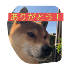 YUTO_20210819231607