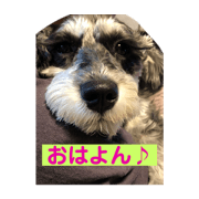 yukipipo_20210817202706