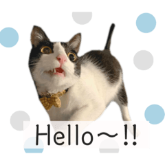 orange_20210819220155