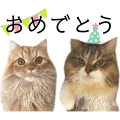 orange_20210819215658