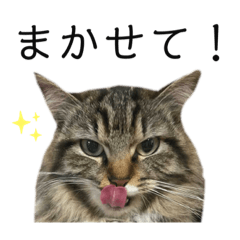 orange_20210819220430