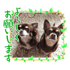 suzu_20210820125921