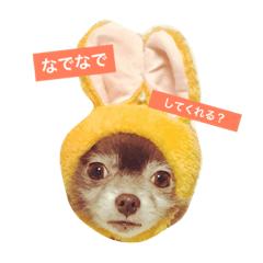 おやすみなさいの5秒前 Line スタンプ Line Store