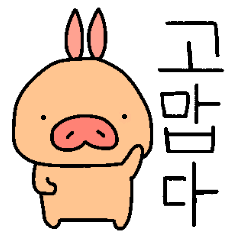 Pigs and, sometimes, Hangul