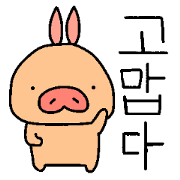 Pigs and, sometimes, Hangul
