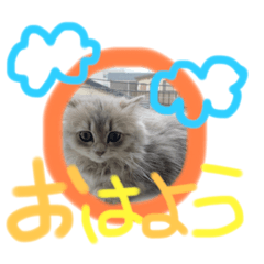 arisa_20210820002327