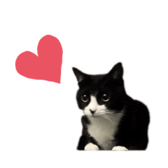 Nozomi_20210820002449