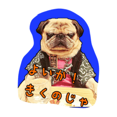 パグのコマじい その1 Line スタンプ Line Store