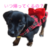 yukipipo_20210818132809