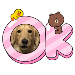 asako_20210820143625