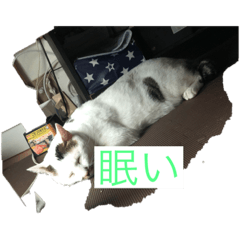 so_20210820144257